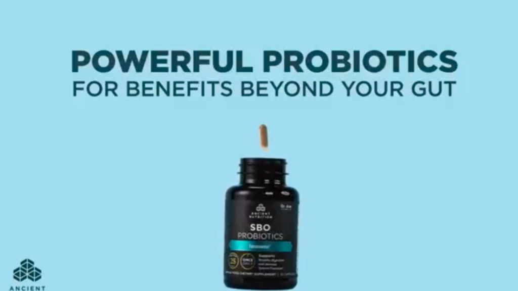 Ancient Nutrition Probiotics