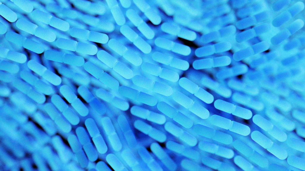 Best Probiotics for Anxiety