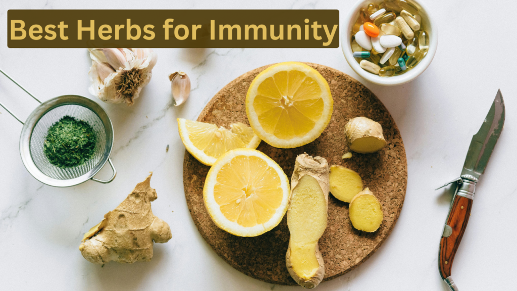 Best Herbs for Immunity