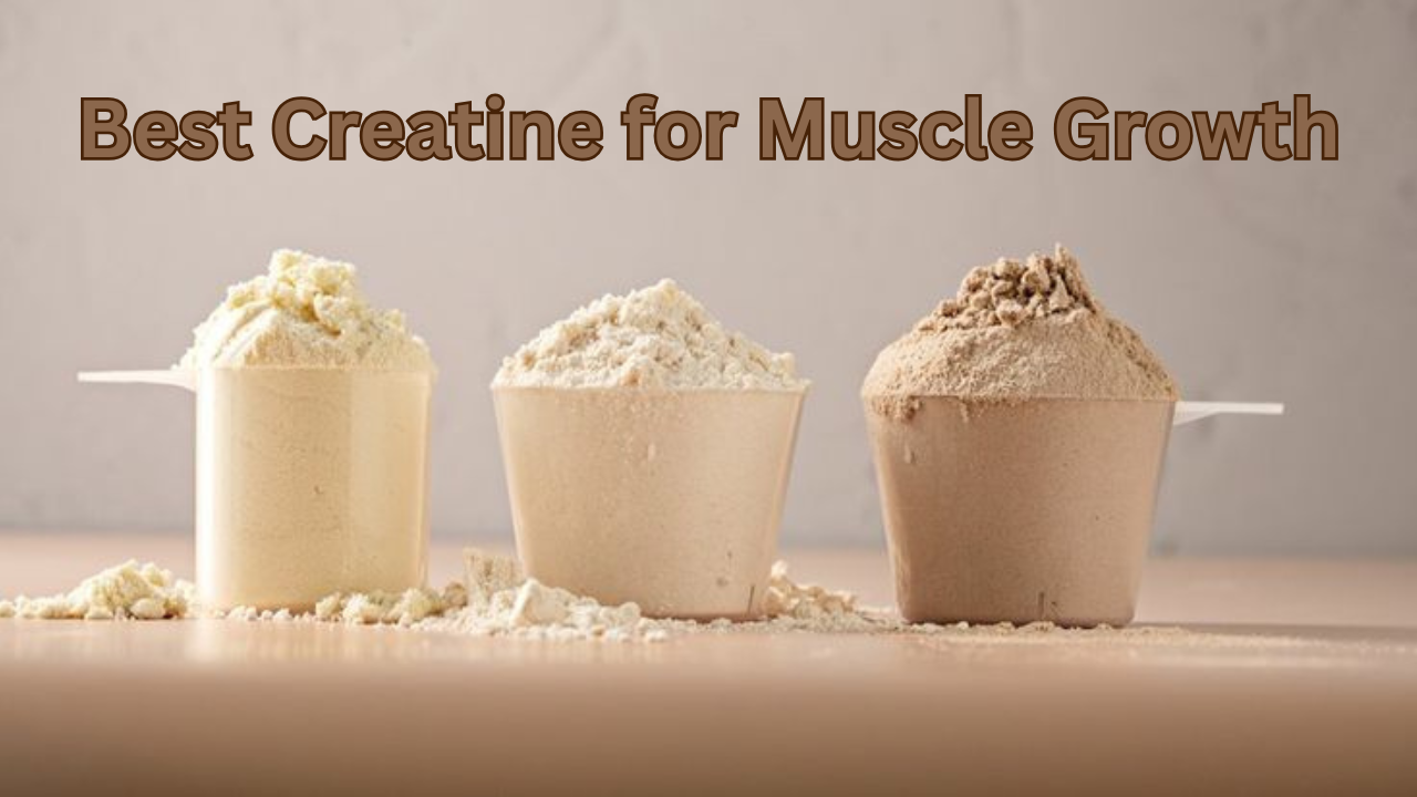 Best Creatine for Muscle Growth